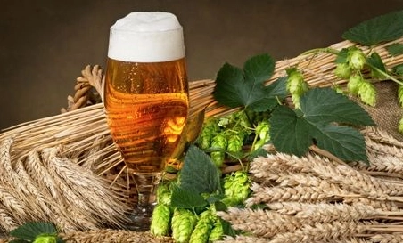 精釀啤酒中，如何選擇恰當(dāng)?shù)慕湻椒ǎ?> </a>
    </dt> 
    <dd> 
     <h4><a href=